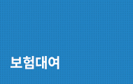 보험대여