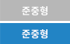 준중형