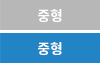 중형