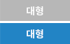 대형